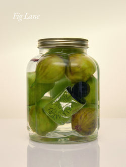 Image of Fig Lane