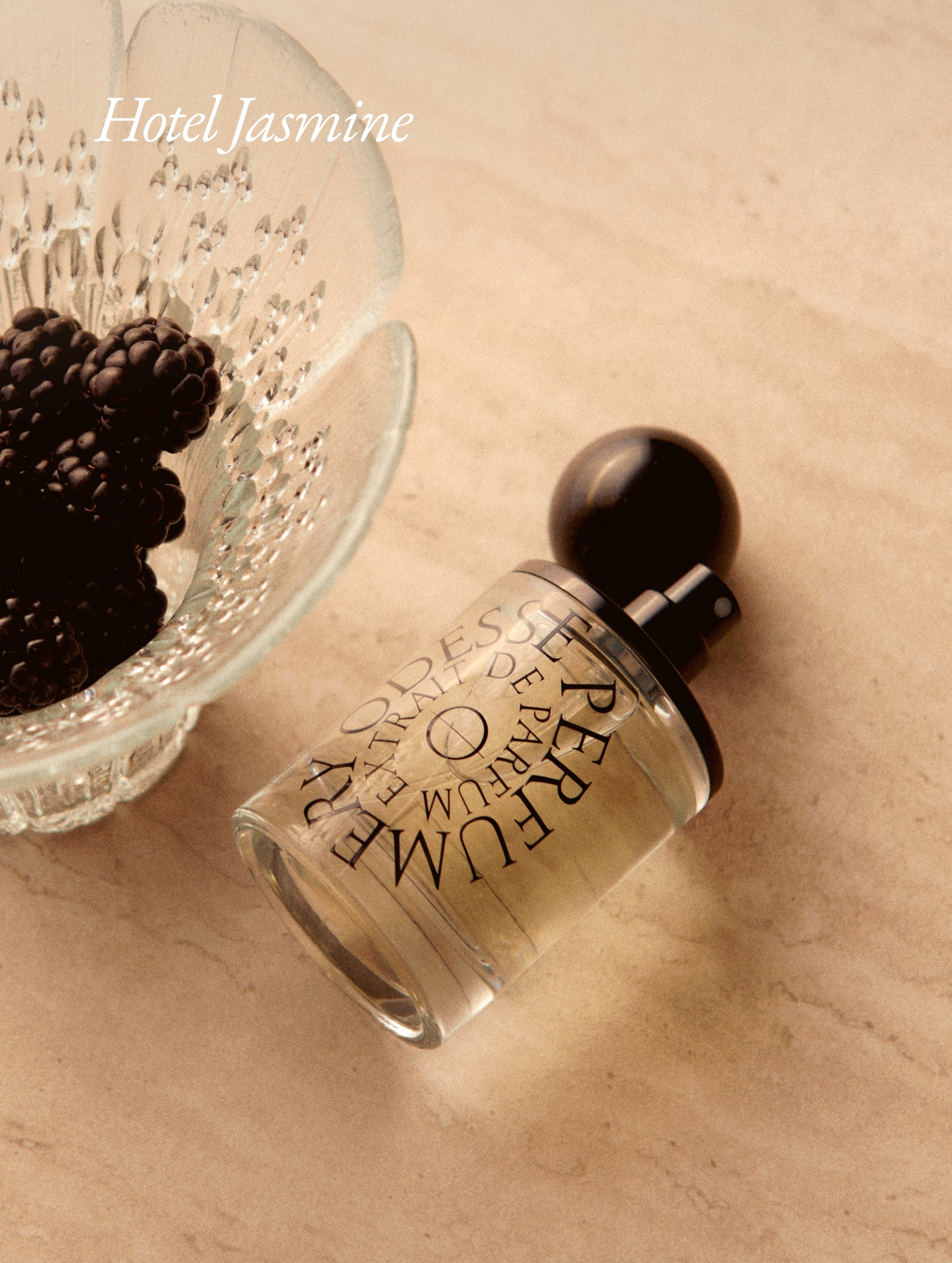 Image of Hotel Jasmine