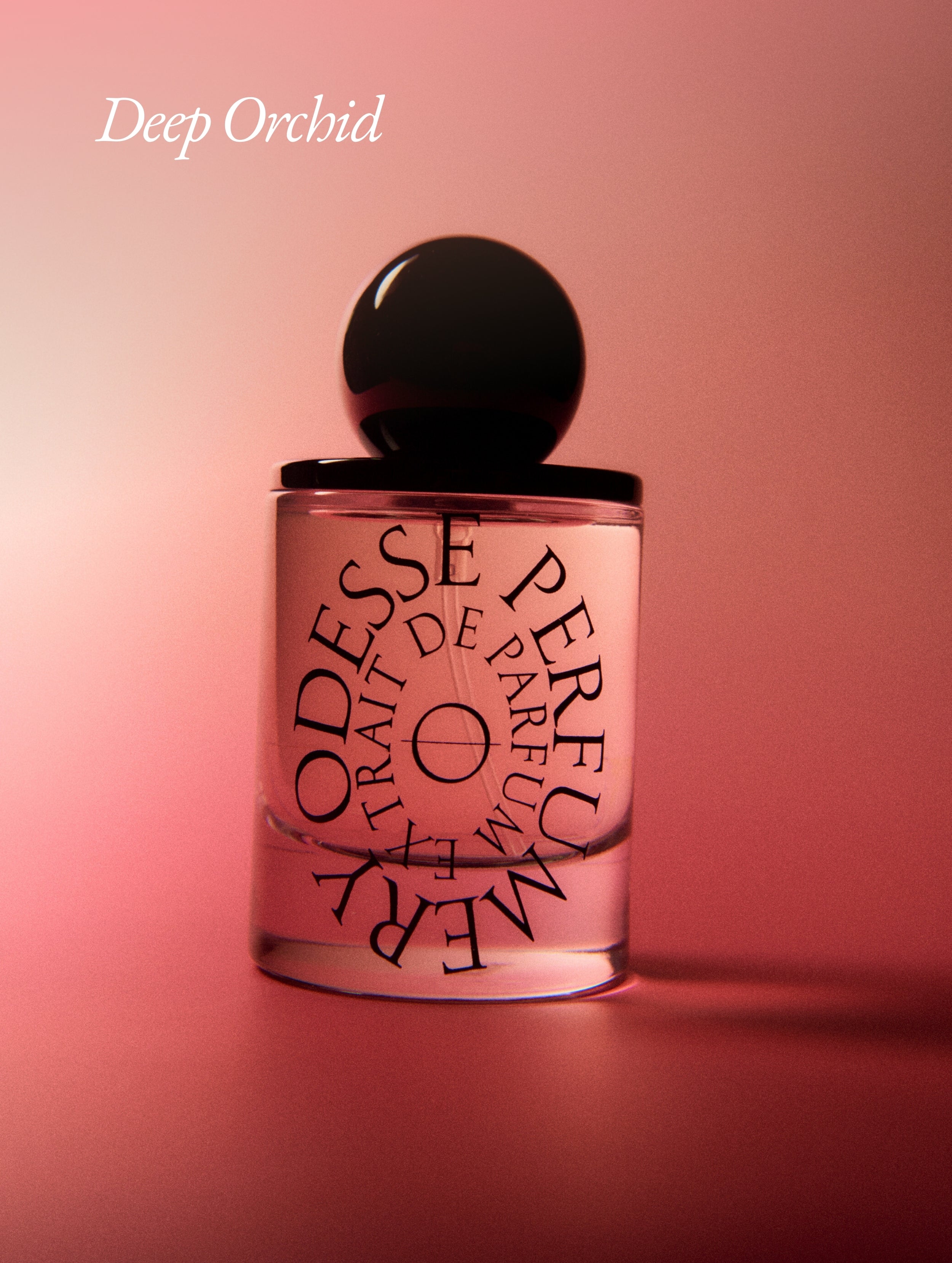 Image of Deep Orchid