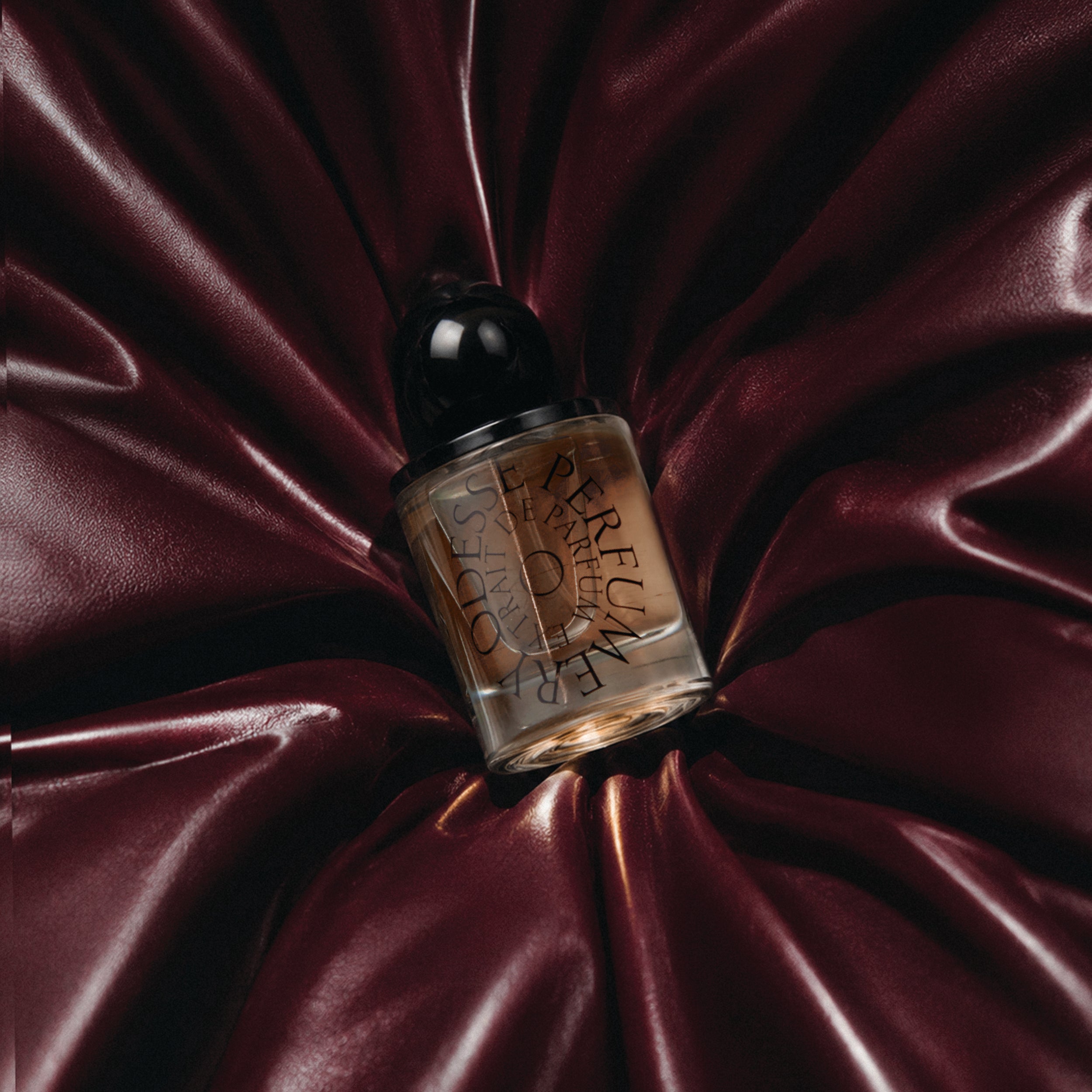 Image of Deep Orchid