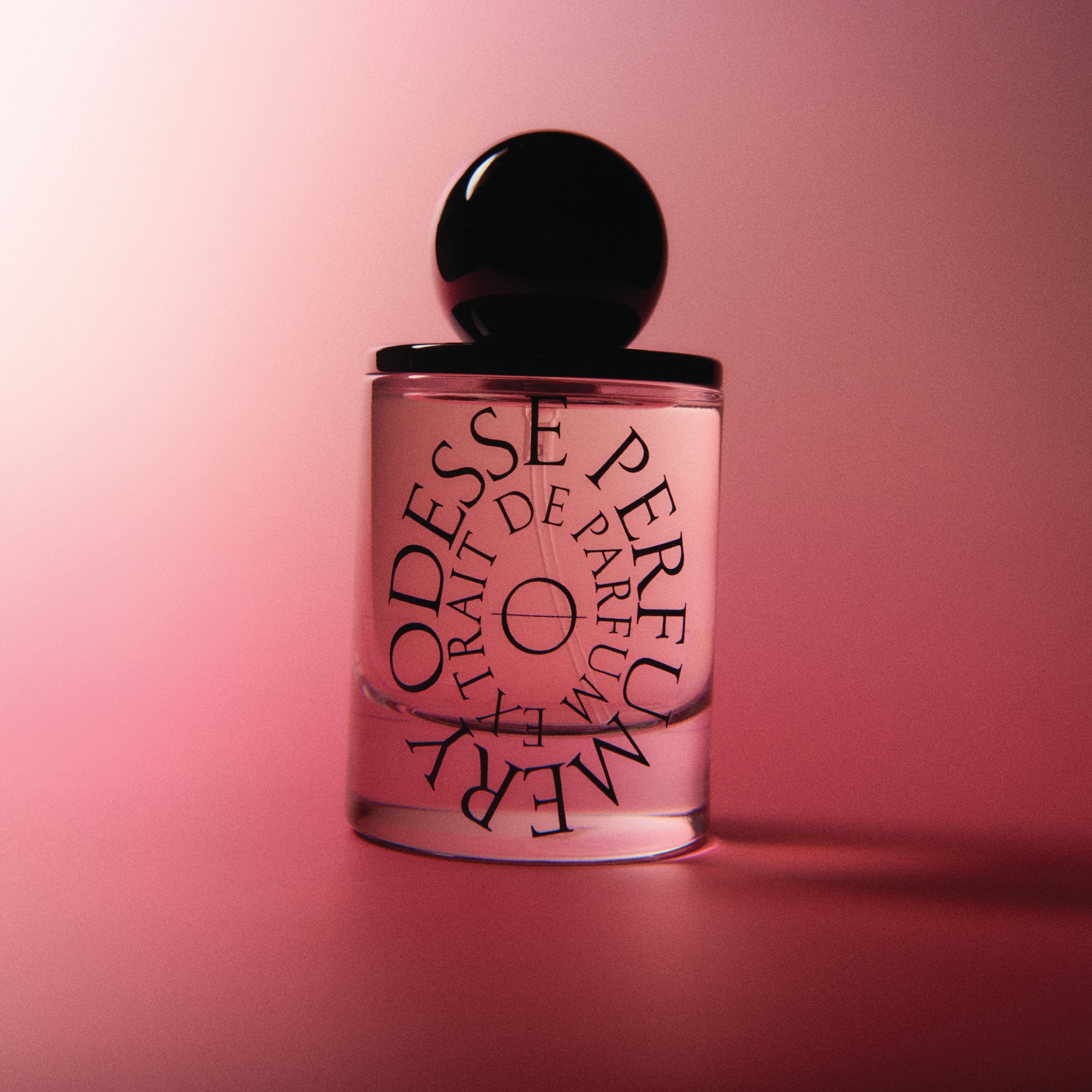 Image of Deep Orchid