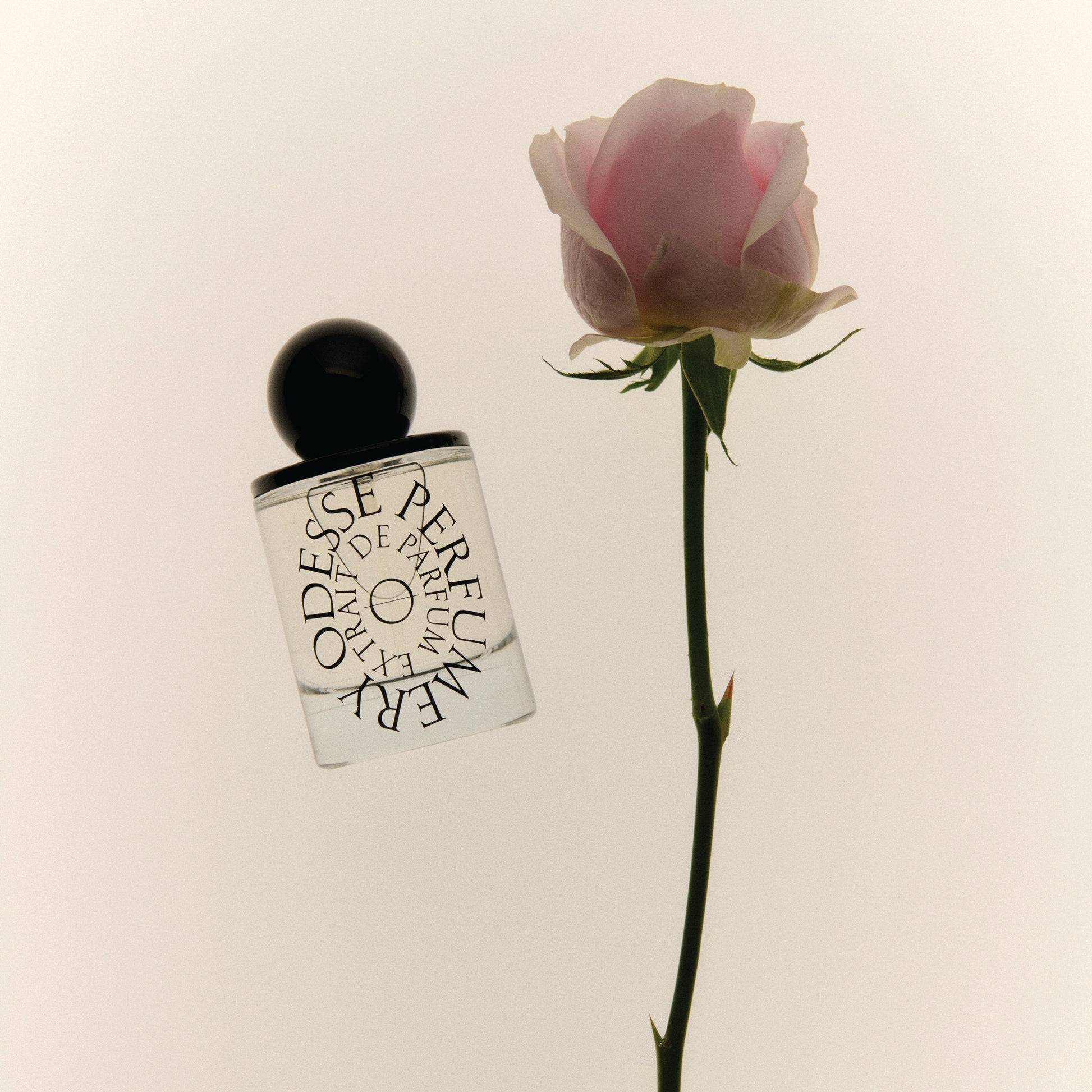Rose Wood