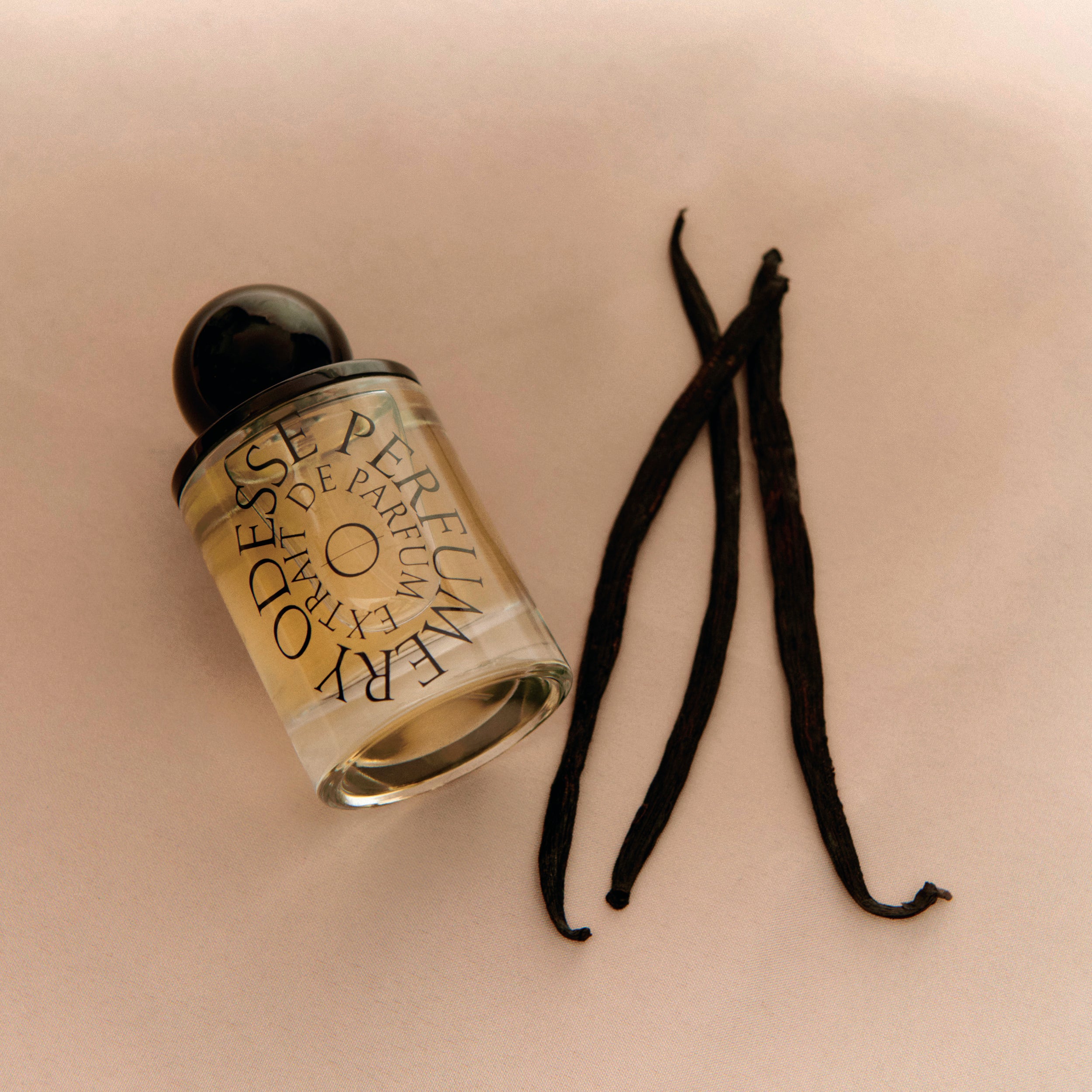 Image of Vanilla Vanilla